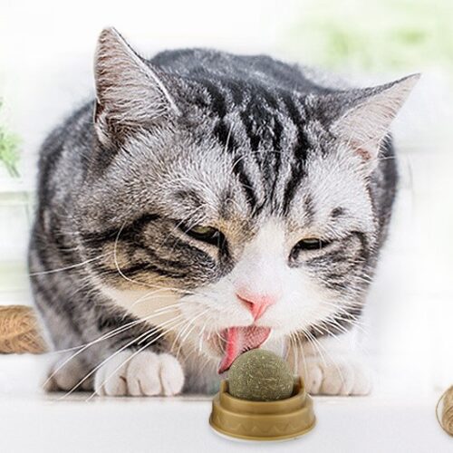 kedi nanesi cat mint oyun topu 8675