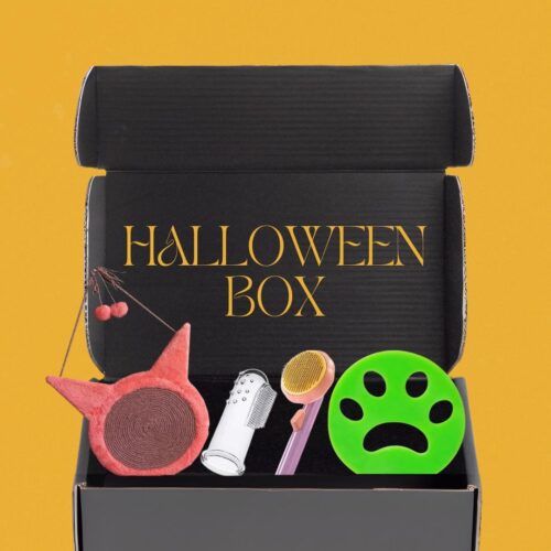 Halloween box
