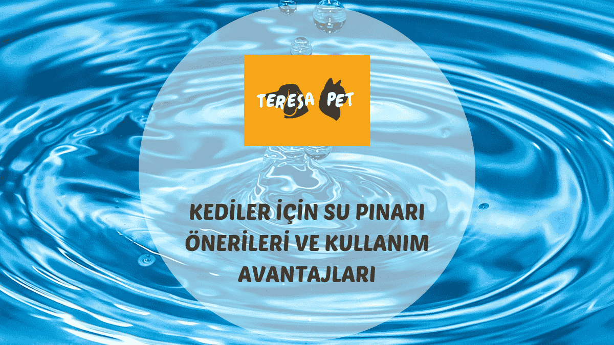 Kediler İçin Su Pınarı Önerileri ve Kullanım Avantajları 1 Kediler için su pınarı önerileri kapsamında paslanmaz çelikten modern bir su pınarı