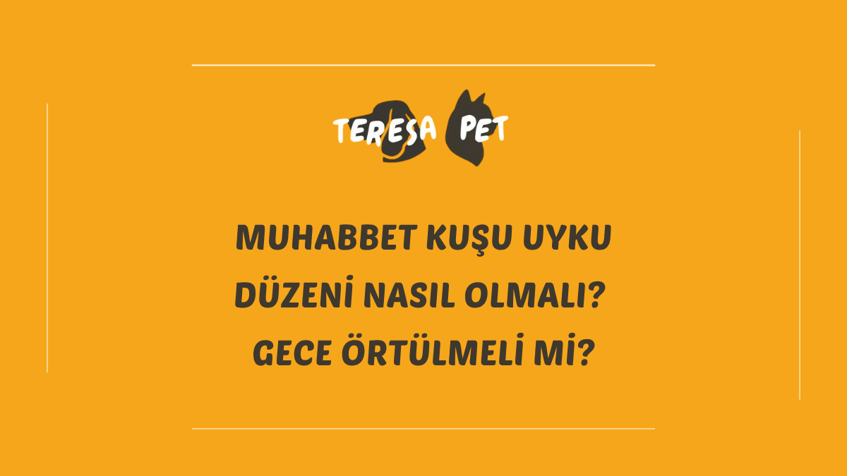 Muhabbet Kuşu Uyku Düzeni Nasıl Olmalı? Gece Örtülmeli Mi? 1 Muhabbet kuşu uyku düzeni hakkında bilgi veren bilgilendirici yazı görseli