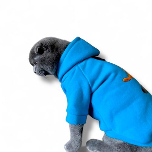 Donald Duck evcil sweatshirt - Kedi ve Köpek